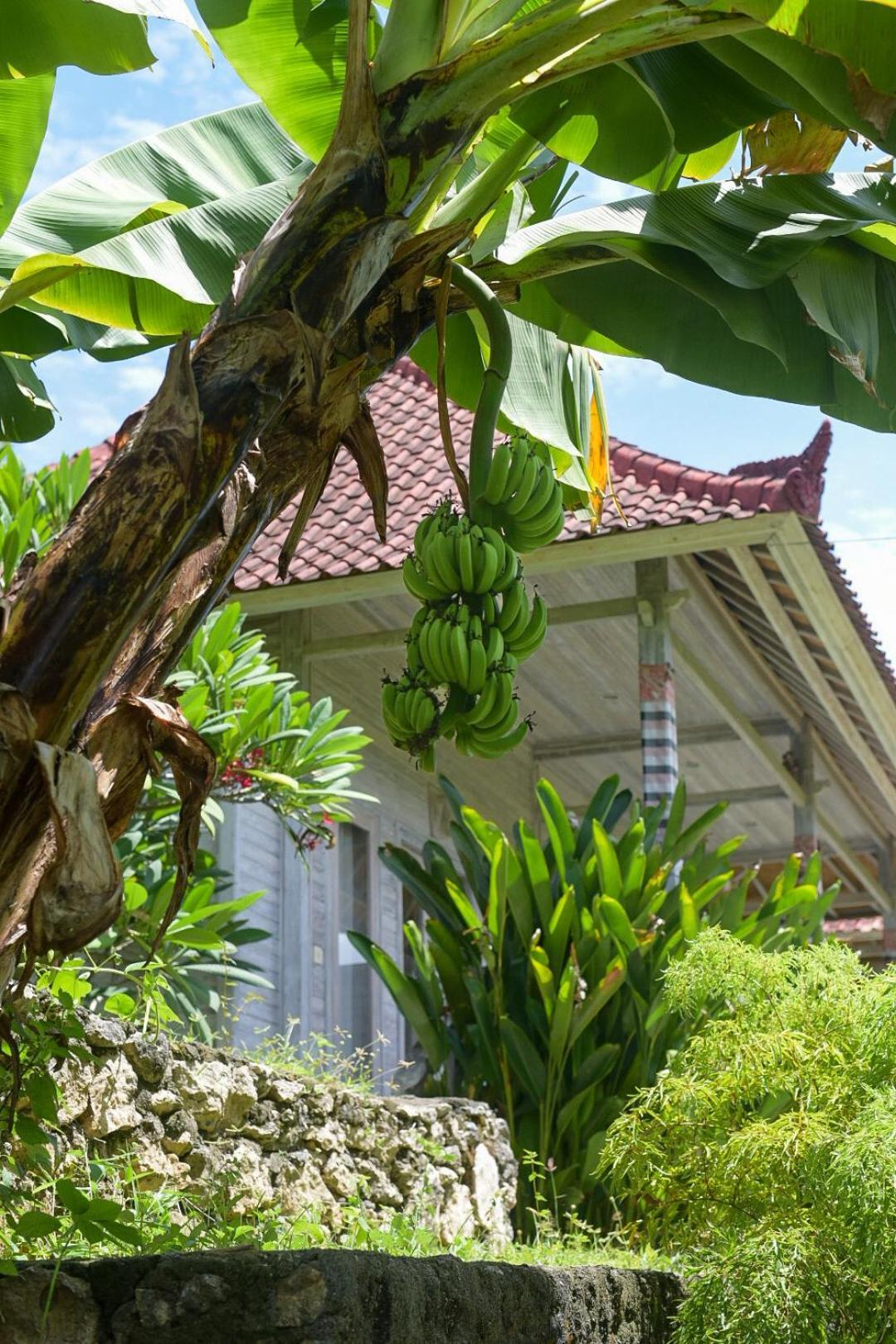 Mesari Hut Lembongan 호텔 외부 사진